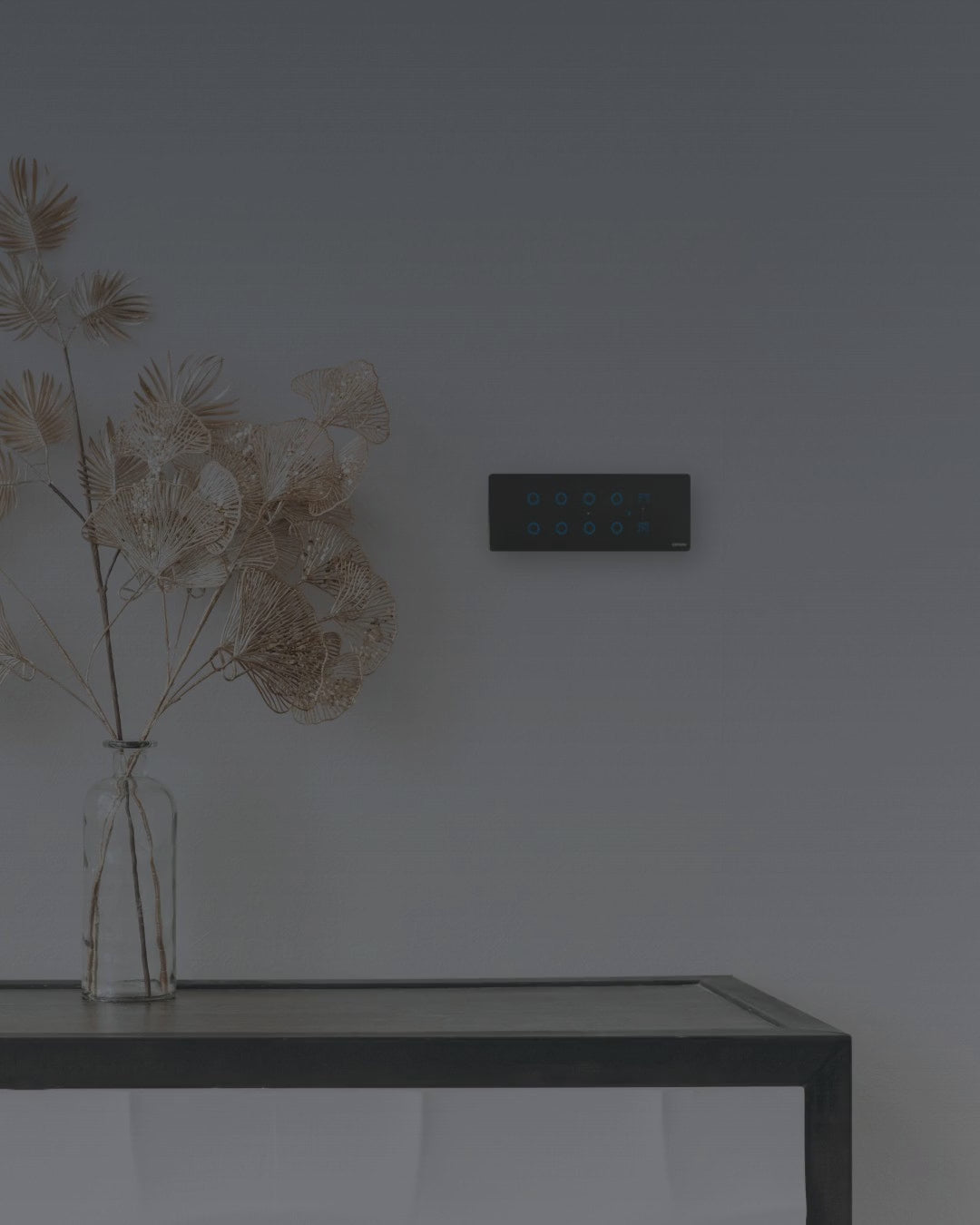 Series 5 Touch Panel · 6/8M – video